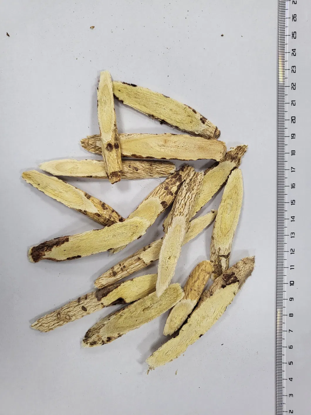Astragalus Export 1