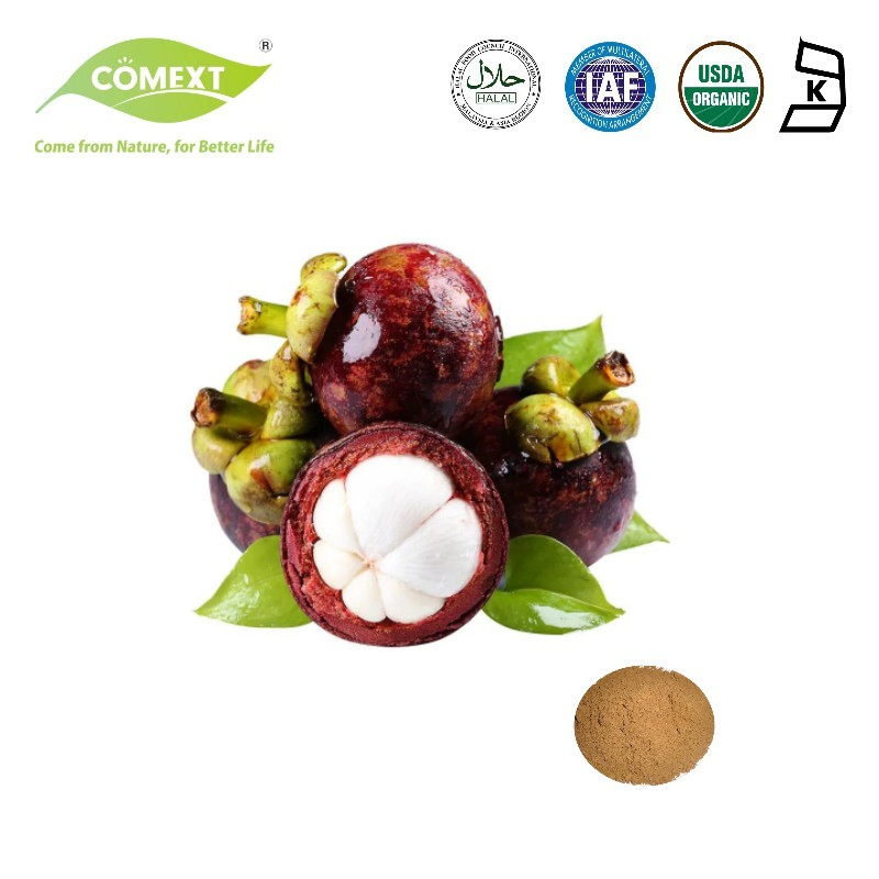Comext 100% Pure 10: 1 Mangosteen Extract Mangosteenfruit Powder