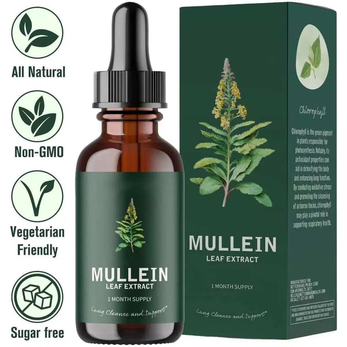 Premium Organic Mullein Drops for Lungs Natural Lung Cleanse Detox Immune Support Respiratory &amp; Digestive Health Supplement