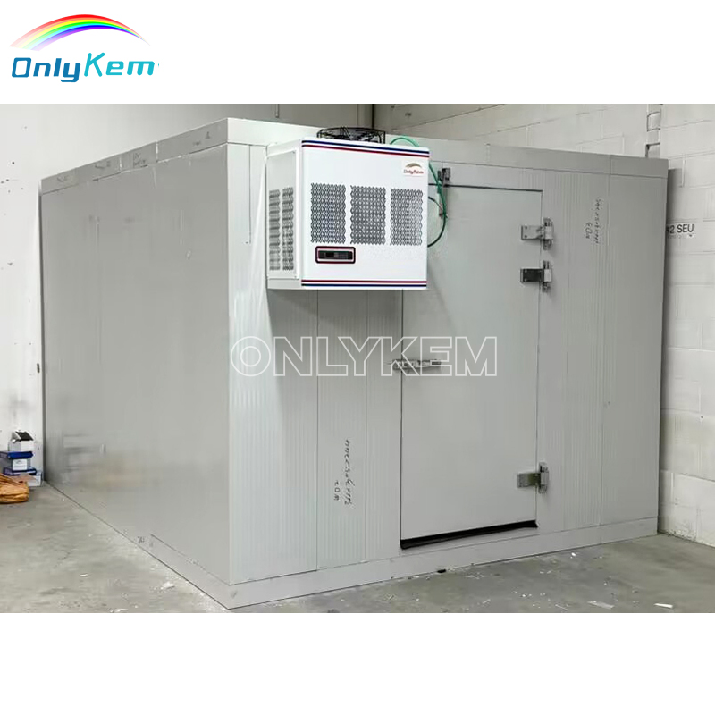 8X8FT Small Cold Room Storage Mobile Freezer Room