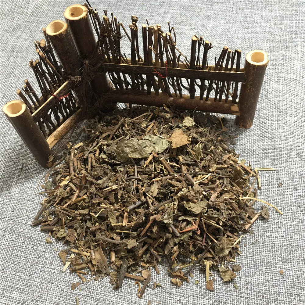 Platostoma palustre Benefit