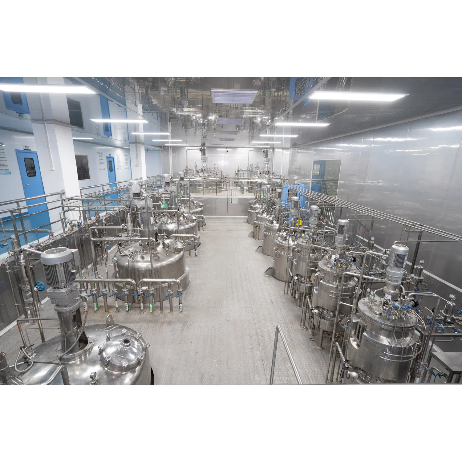 Health Supplement Ingredient Lactobacillus Casei for Weight Management