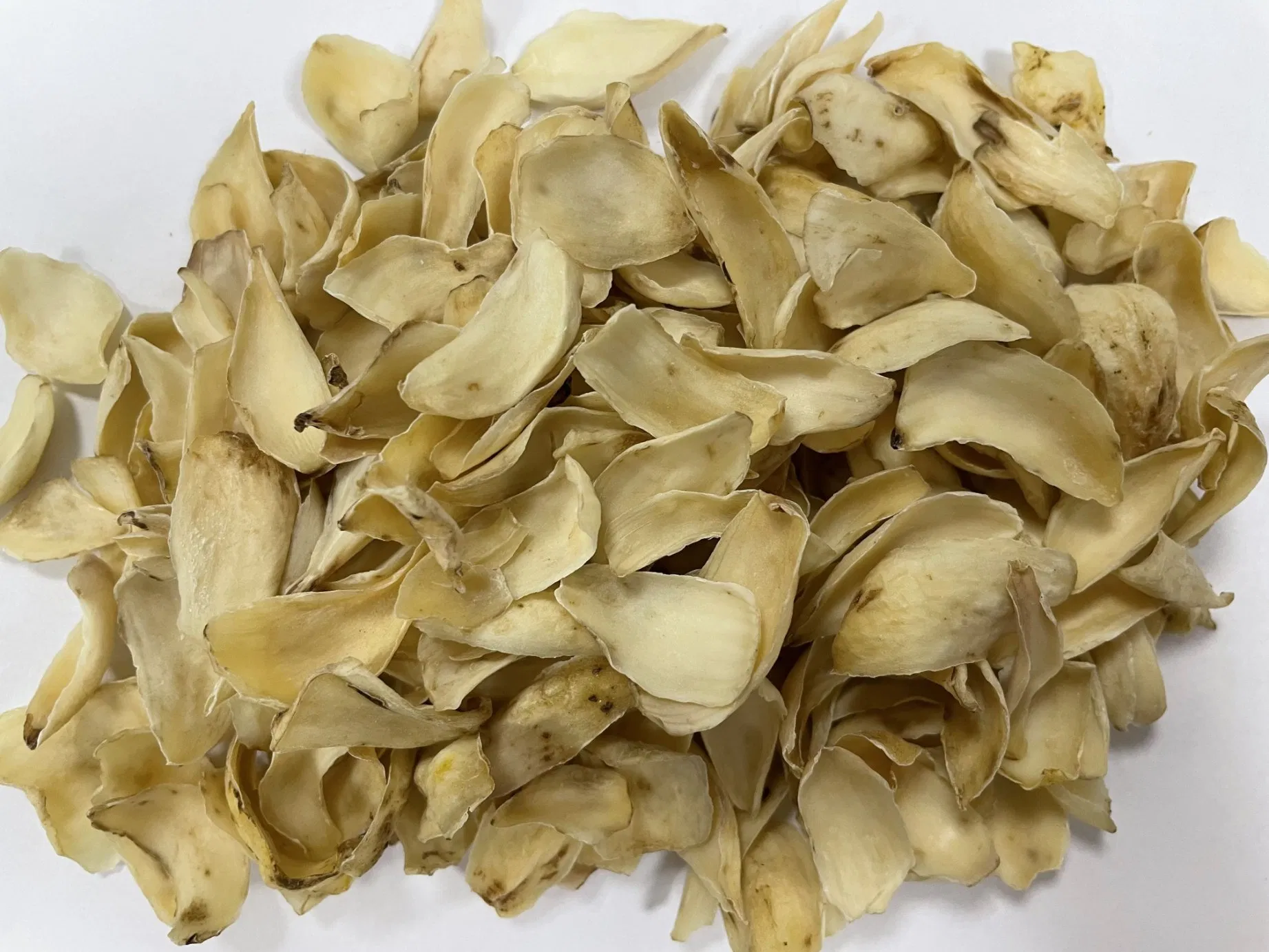 Chinese Herbal Medicine Bai He Bulbus