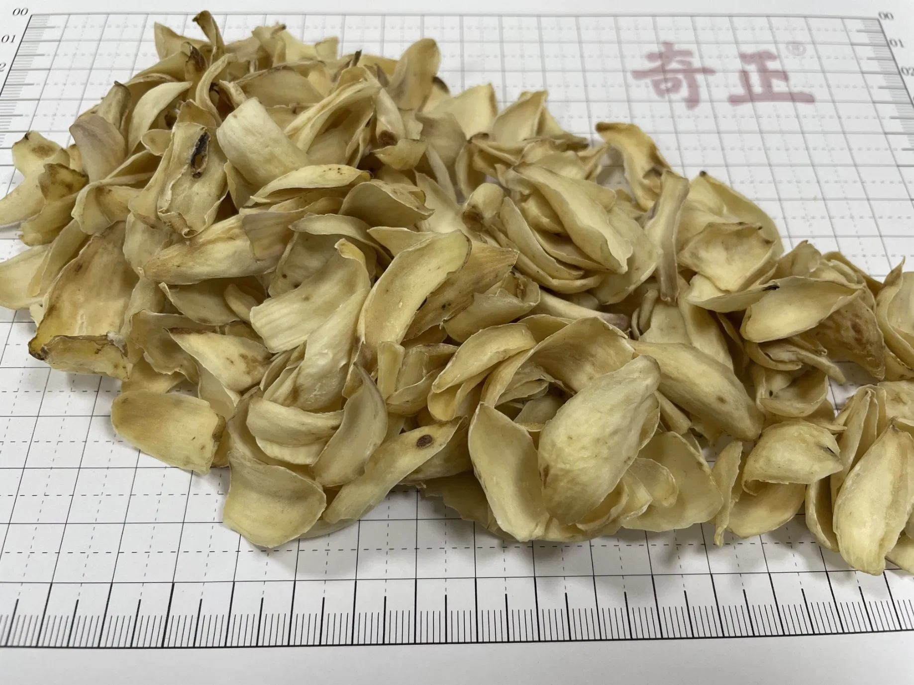 Chinese Herbal Medicine Bai He Bulbus