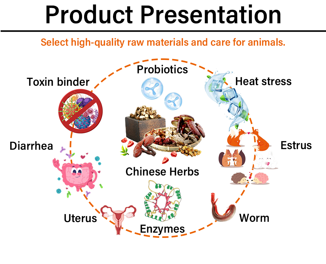 0xystrecolivit Wsp Antibiotics+Vitamins Plus Soluble Powder for Poultry and Pigs