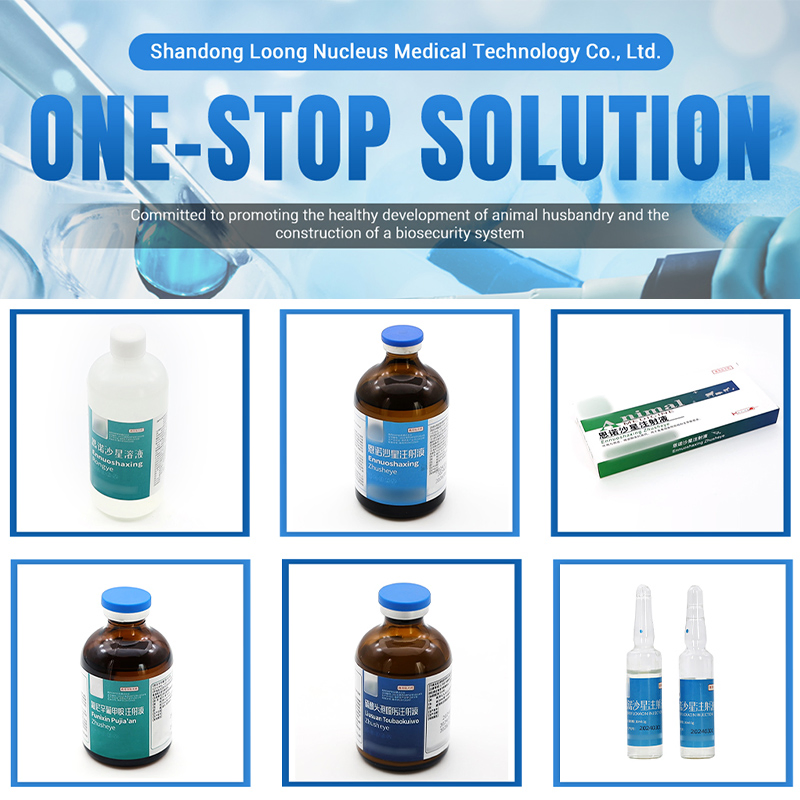 GMP Certificated Supplier Veterinary Medicine 2.5% Cefquinome Sulfate Injection for Animal Use