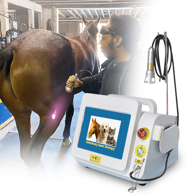High Energy 980nm Diode Laser Therapy Machine Veterinary Equipment for Vet Equine Physical Therapy Pain Relief