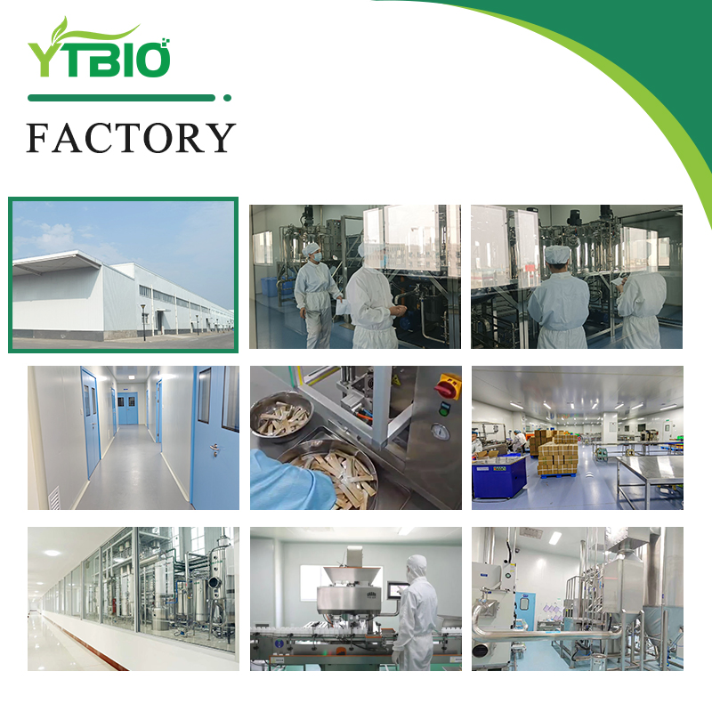 Acv Apple Cider Vinegar Gummies Weight Management Supplement -Clean Label Formula