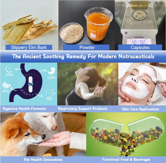 Bulk USDA Organic &amp; Kosher High Mucilage Digestive Health Ingredients Slippery Elm Bark Powder