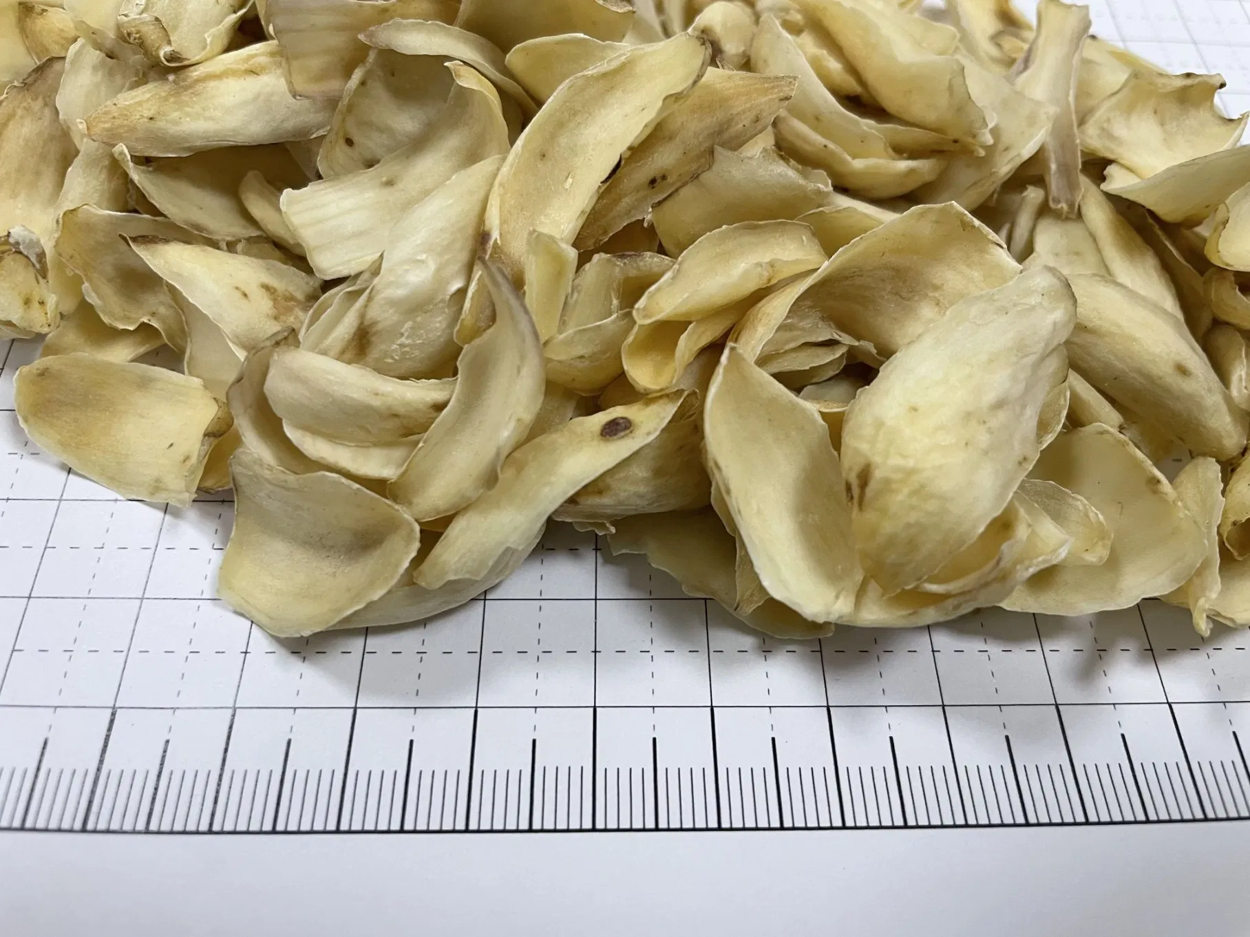 Chinese Herbal Medicine Bai He Bulbus