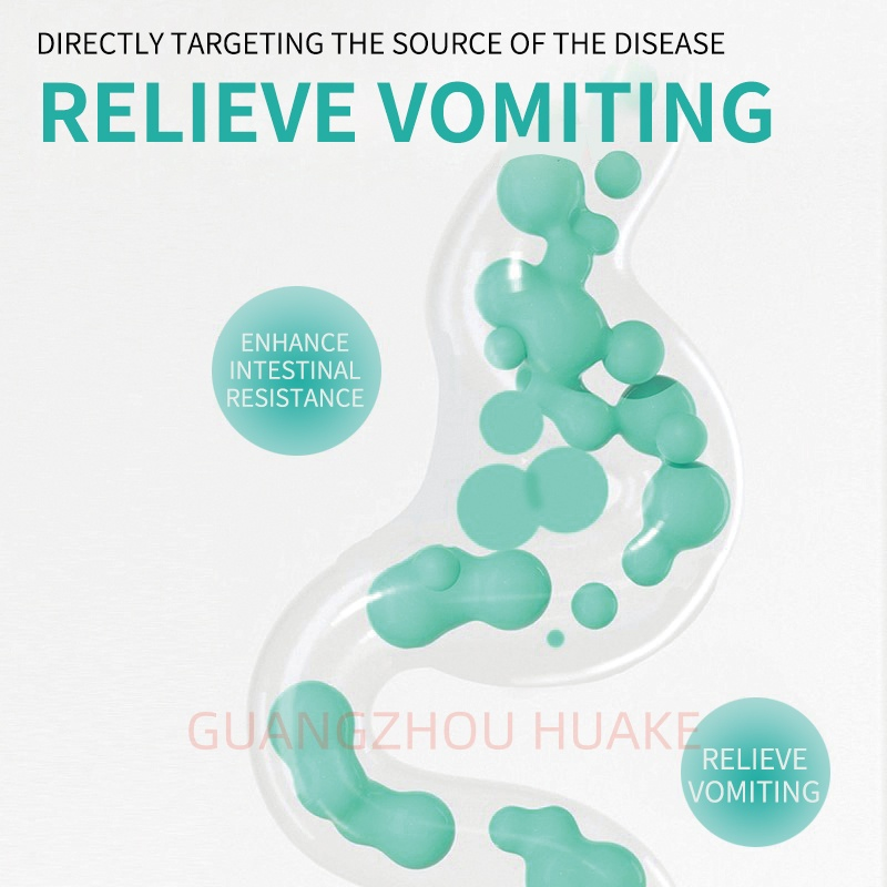 OEM Dog Cat Anti Soft Stool Soft Chews for Intestinal Health Support