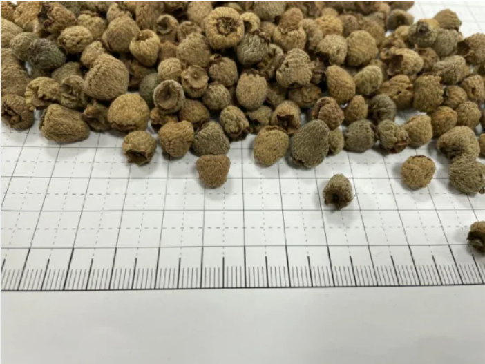 Chinese Herbal Fupenzi Liver Kidney Medicine