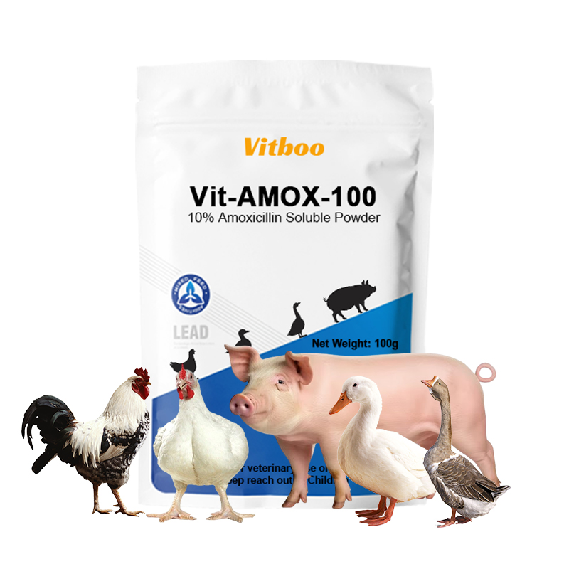 Veterinary Medicine 10% Florfenicol Soluble Powder for Treating Chickens′ Respiratory and Intestinal Diseases