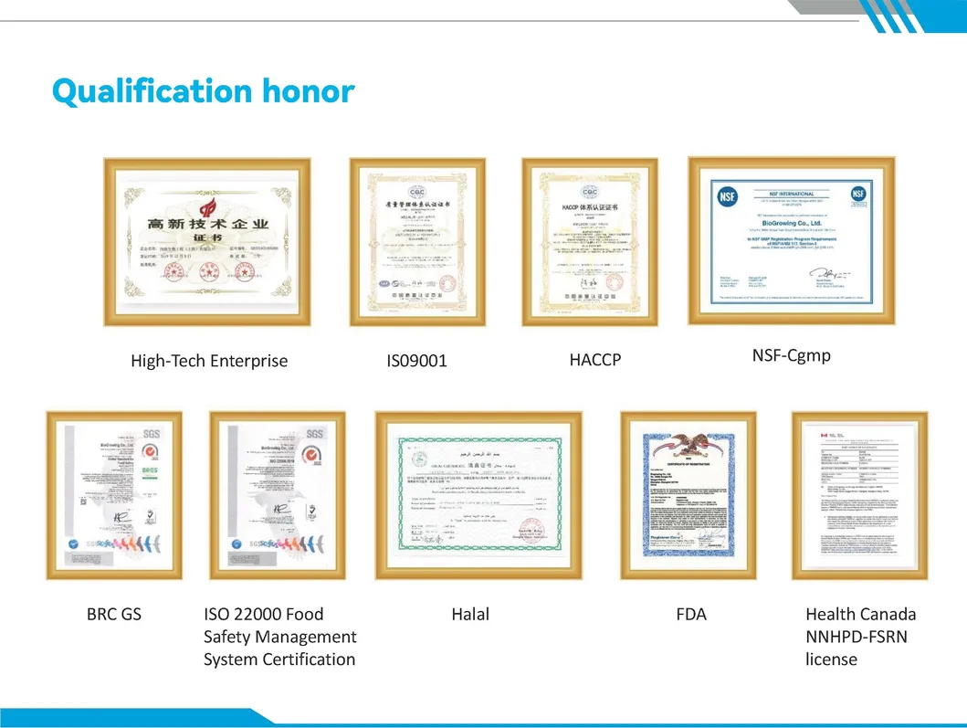 Probiotic Powder Production