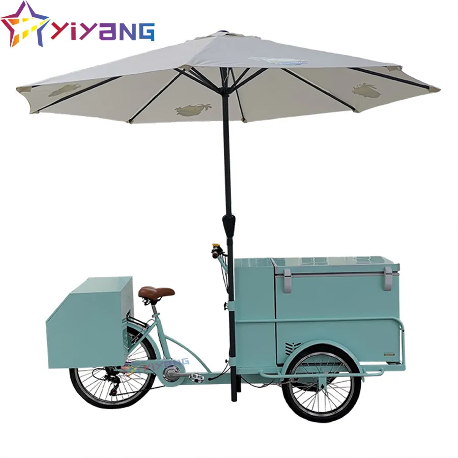 Cargo Tricycle 6