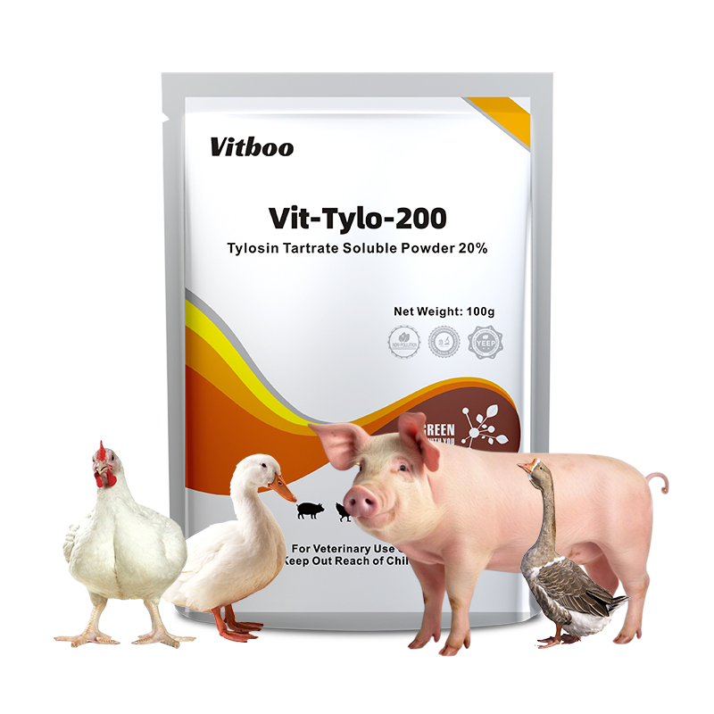 Veterinary Medicine 10% Florfenicol Soluble Powder for Treating Chickens′ Respiratory and Intestinal Diseases