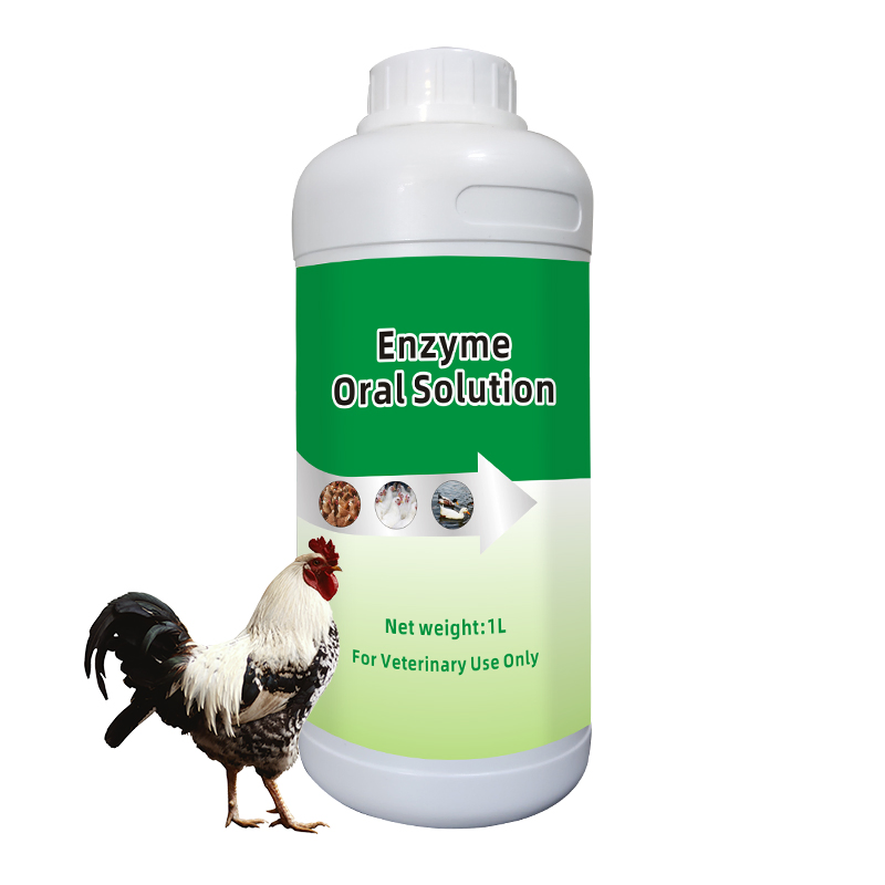 China GMP ISO Factory Directly Veterinary Drug Natural Chinese Herbal Medicine Anti Virus Oral Solution