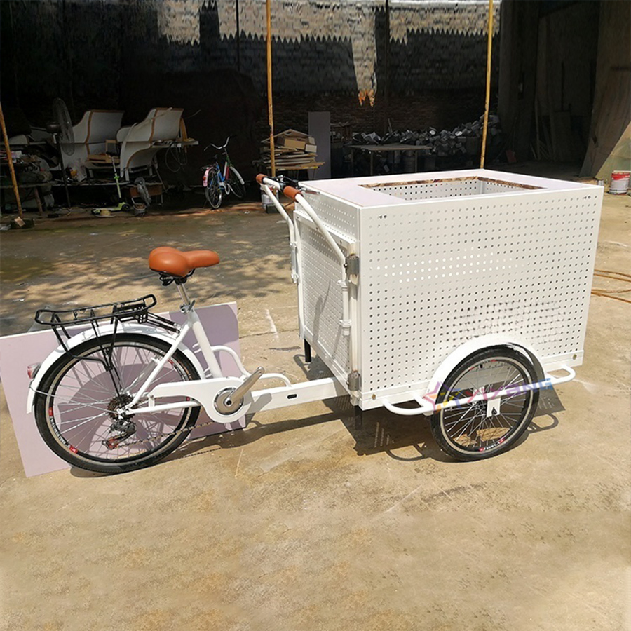 Takeaway Tricycle Cold Drink Cart Ice Salad Tricycle Food Cart