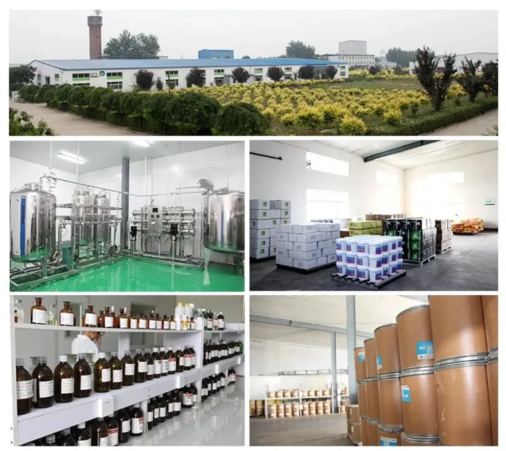 Amoxycillin 20% Product Photo 6