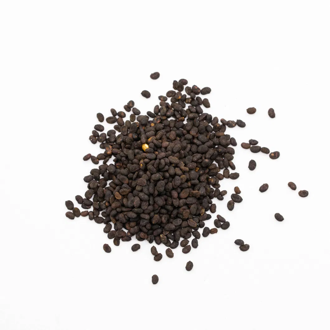 Fructus Ligustri Lucidi View 1