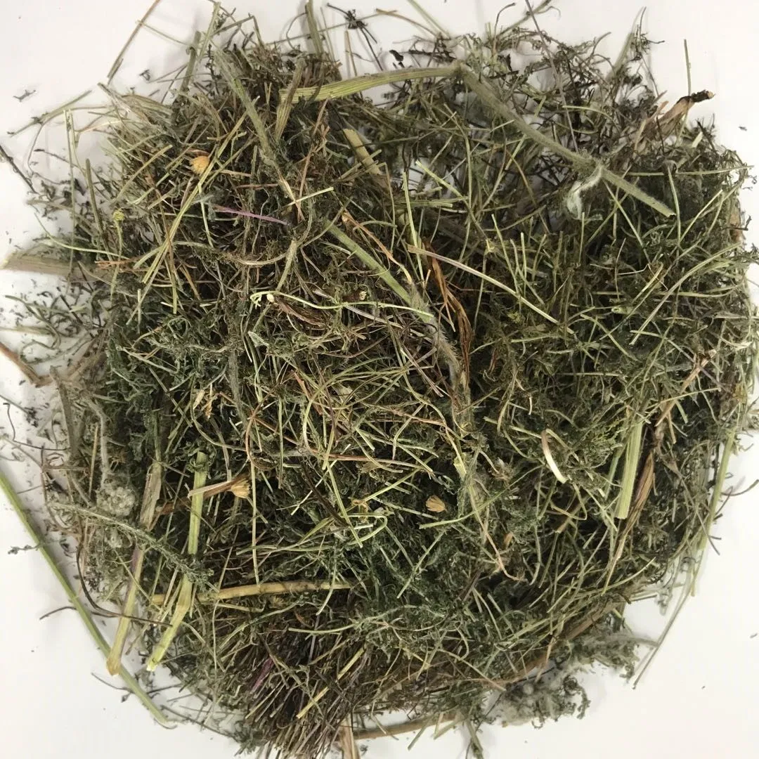 Shi Cao Alpine Yarrow Herb Plant Extract Herbal Medicine Yarrow