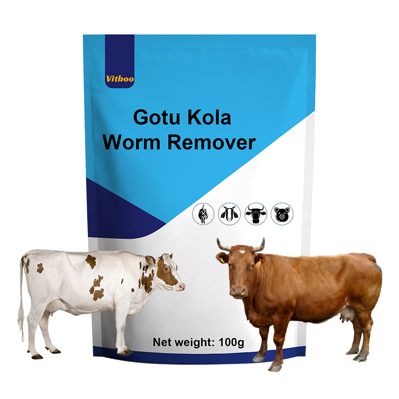 Veterinary Medicine 10% Florfenicol Soluble Powder for Treating Chickens′ Respiratory and Intestinal Diseases