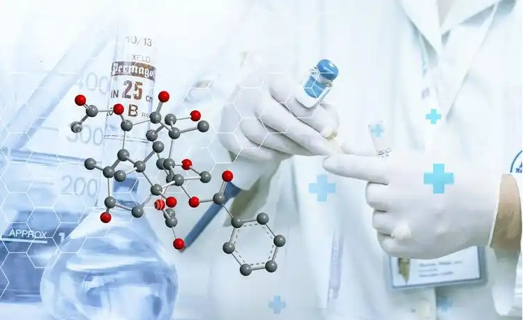 Premium Nac Supplement for Enhanced Immune Support and Detoxification