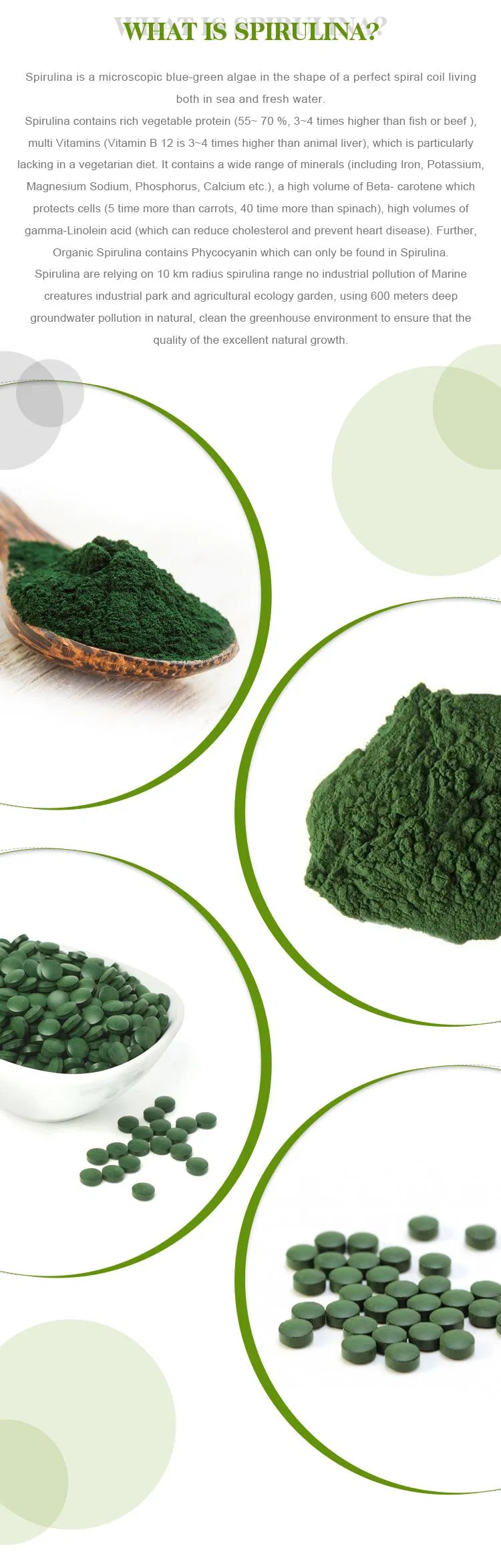 Spirulina details 1