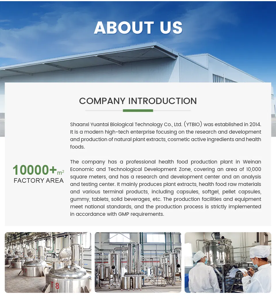 Manufacturing Process