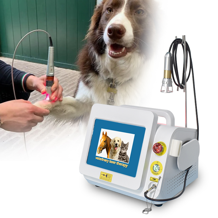 Professional Health Care Veterinary Use Laser Intrument Equine Veterinary 980nm Diode Laser Therapy Equipment for Tendon Injury Soft Issue