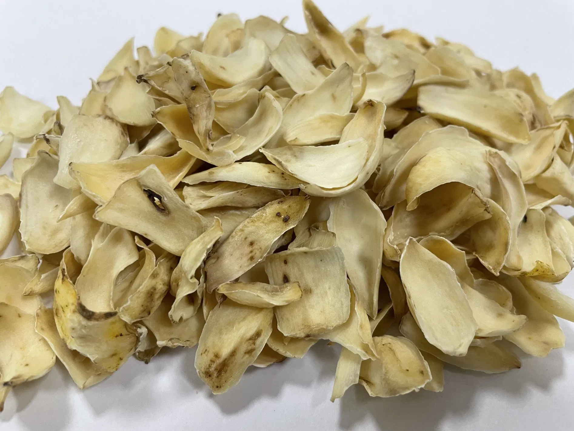 Chinese Herbal Medicine Bai He Bulbus