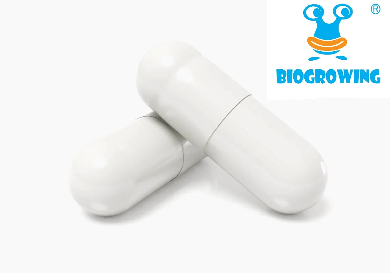 Probiotic Capsule for Weight Management and Digestive Health Support