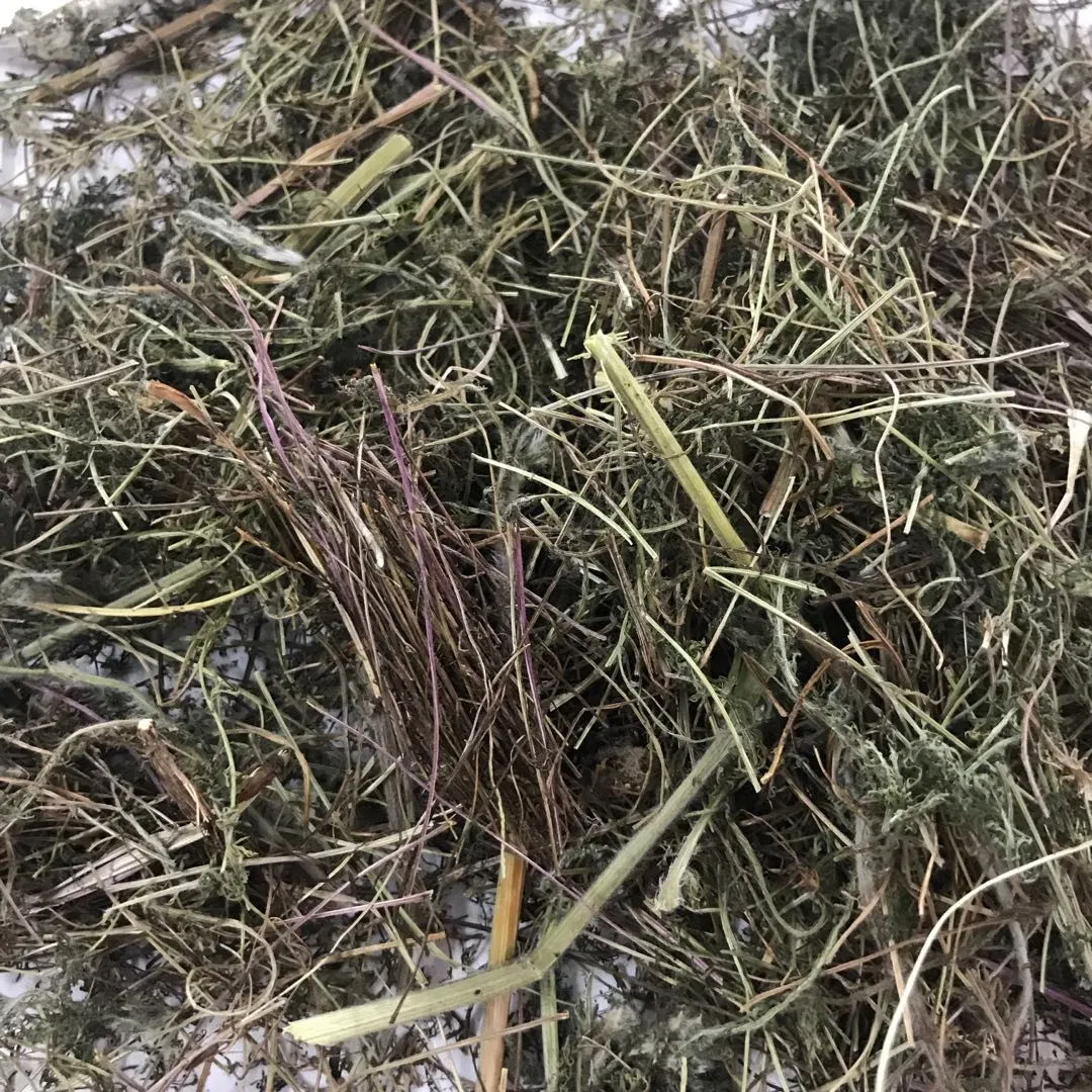 Shi Cao Alpine Yarrow Herb Plant Extract Herbal Medicine Yarrow