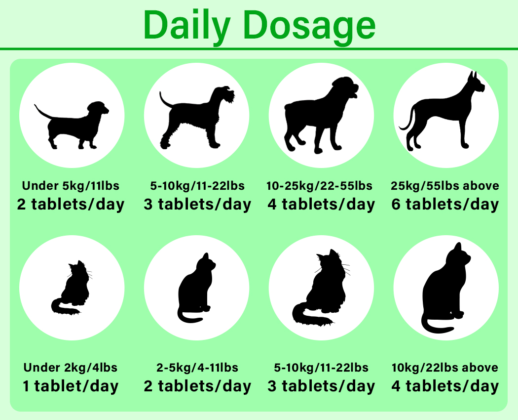 Pet Nutrition Supplement Gut Health Snacks Immune System Tablets Pet Growth Support Tablets Weight Gain for Pet