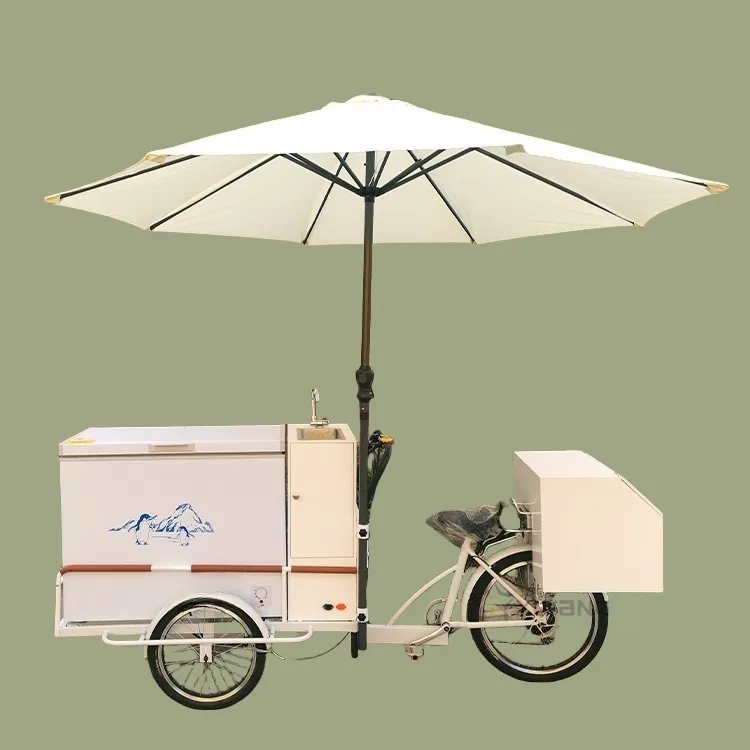 Cargo Tricycle 1