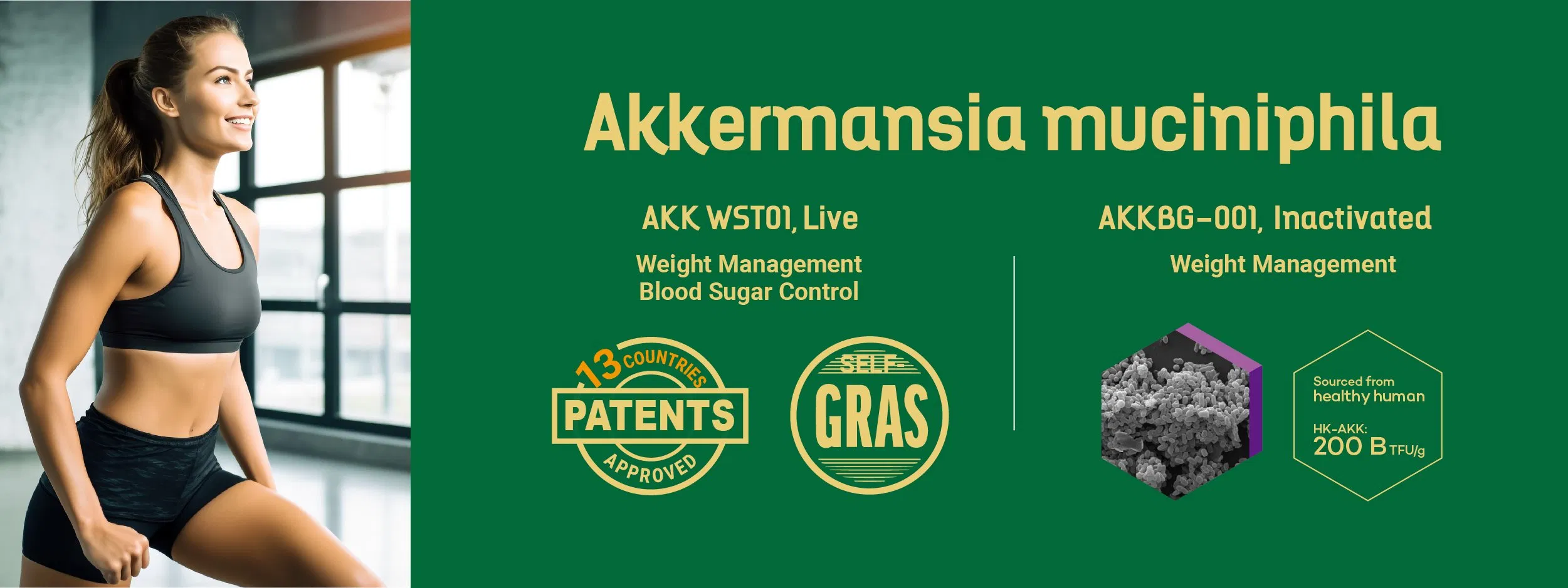 Hot Selling Protein Supplement Powder Akkermansia Muciniphila Akkermansia 99% Purity Probiotics Akk for Weight Management