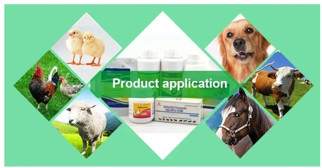 Amoxycillin 20% Product Photo 8