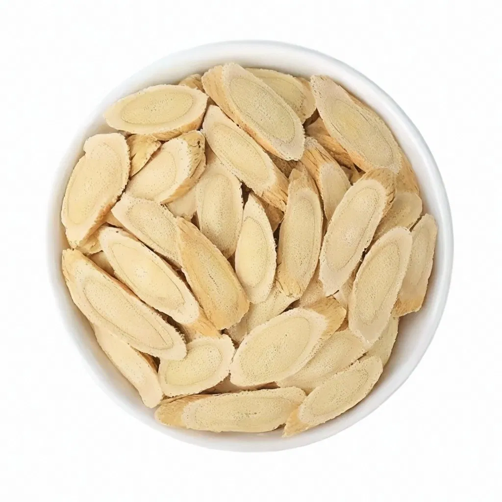 Astragalus Slice