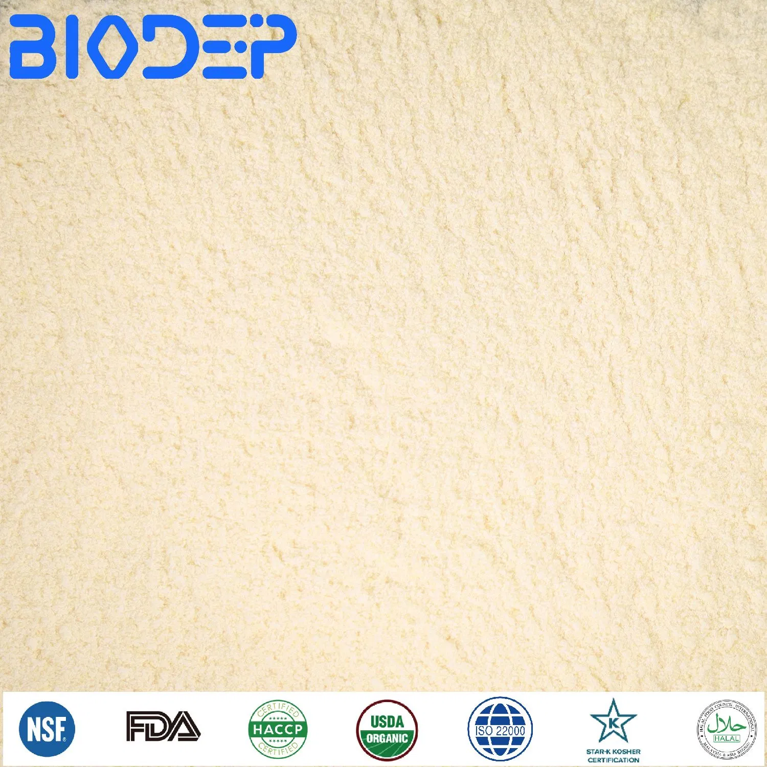 Promote Digestion Probiotics Powder Supplements Bifidobacterium Bifidum for Digestive Health