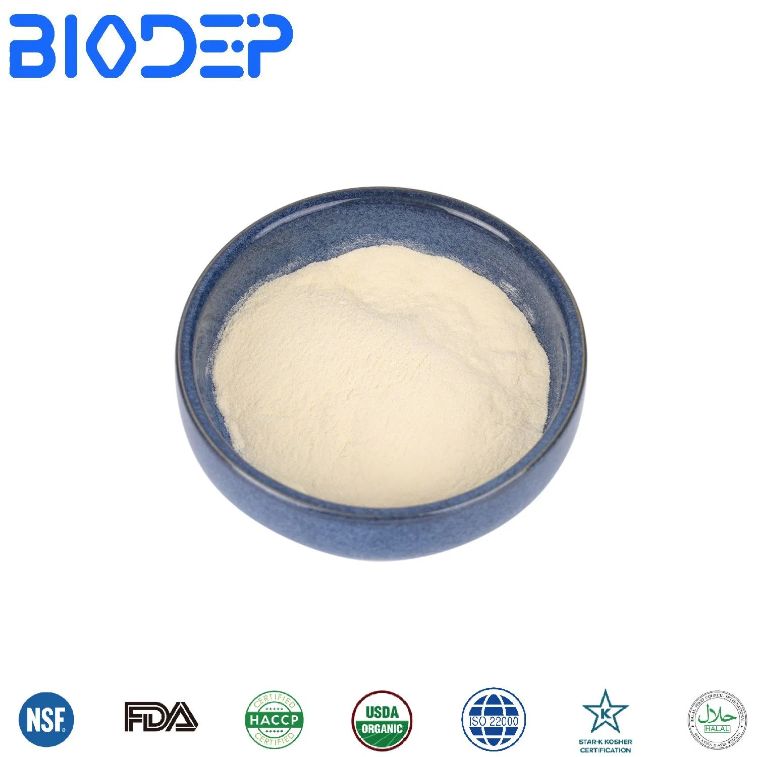 Promote Digestion Probiotics Powder Supplements Bifidobacterium Bifidum for Digestive Health