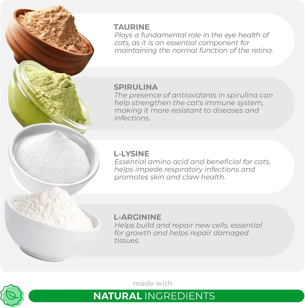 Multivitamin Powder 4