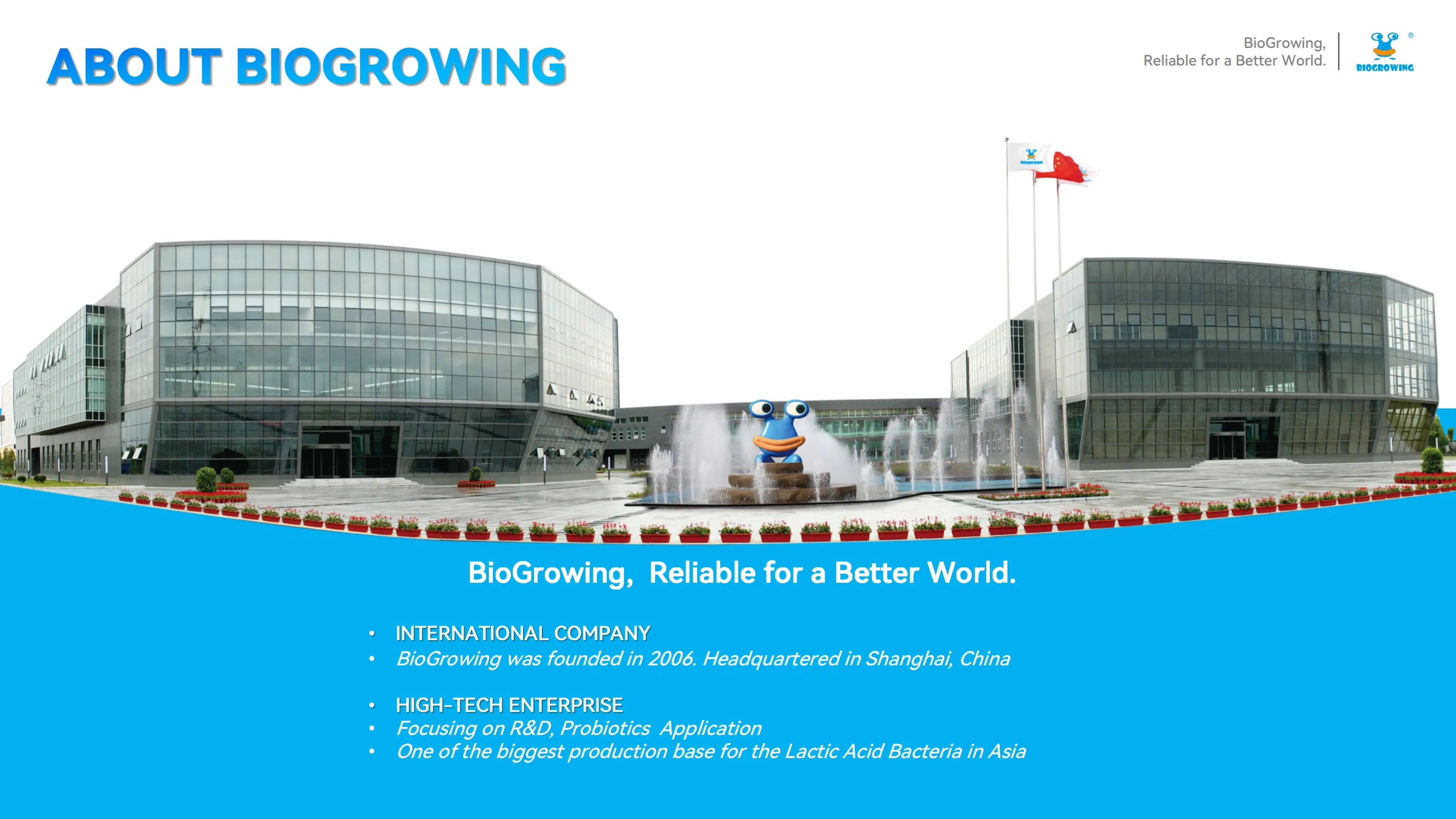 Probiotic Capsule for Weight Management and Digestive Health Support