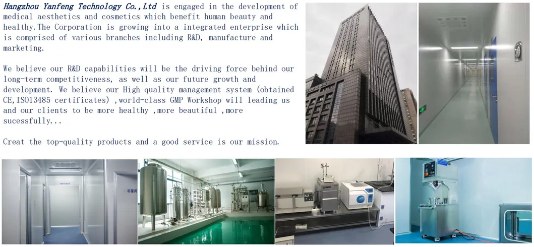 Company Introduction