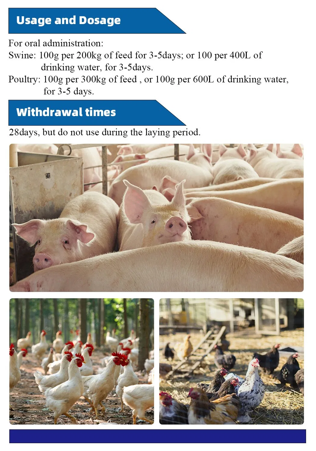 Doxycycline Detail 2