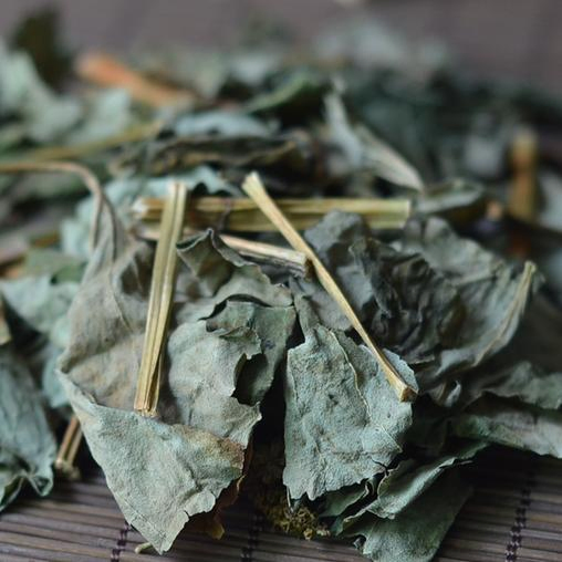 Yu Xing Cao Traditional Chinese Herbal Medicine Dried Houttuynlae Herba