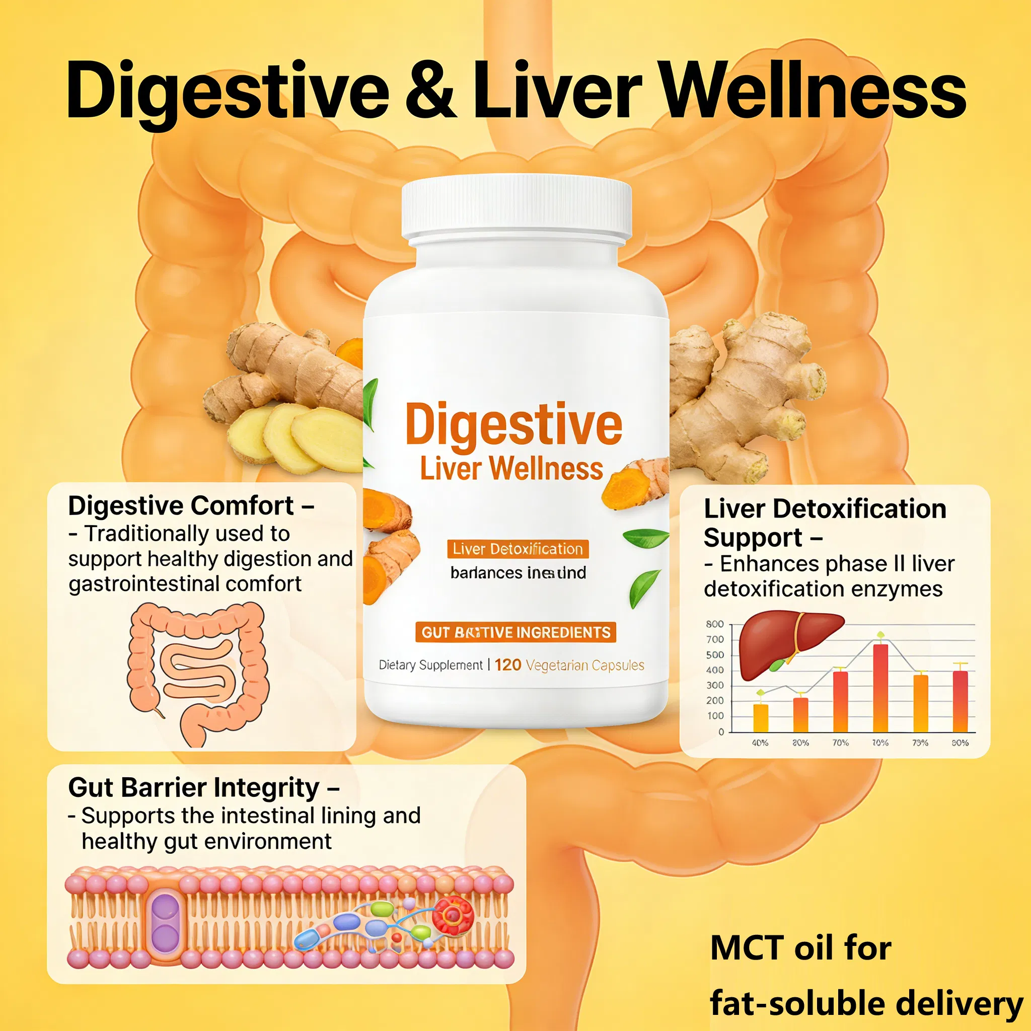 Curcumin Health Product OEM for Enhanced Digestive Support