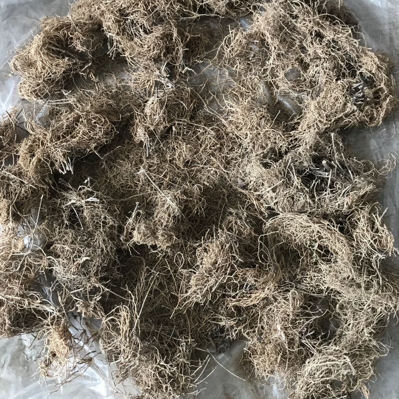 L115 Wei Ling Cai Herbal Products Chinese Traditional Medicine Dried Potentilla Chinensis