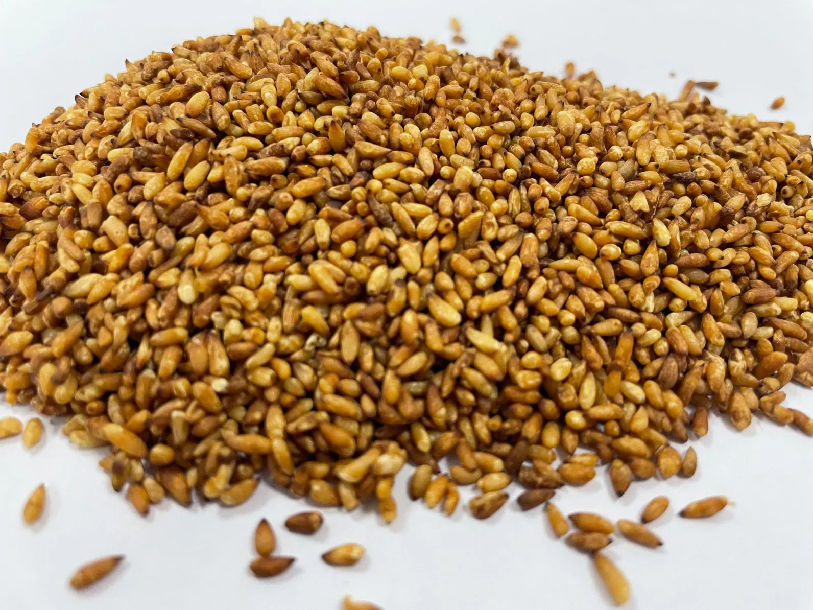 Chao Bai Zi Ren Platycladi Semen Chinese Traditional Herb Natural Dried Herbal Medicine