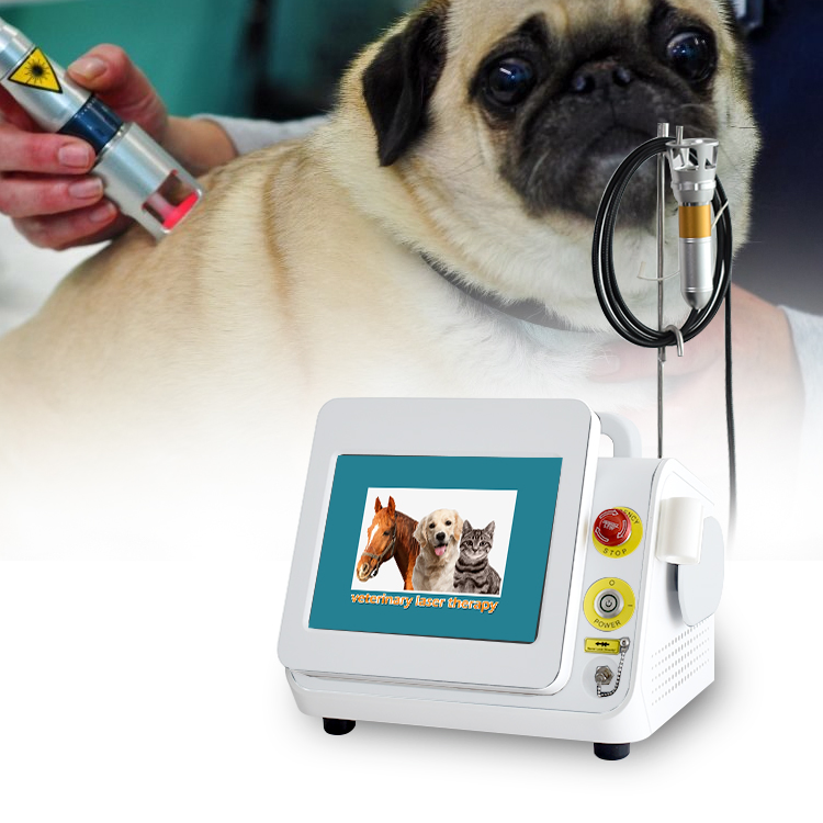 Portable Veterinary Vet 980nm Diode Laser Painrelief Device Equine Laser Therapy Equipment for Horse