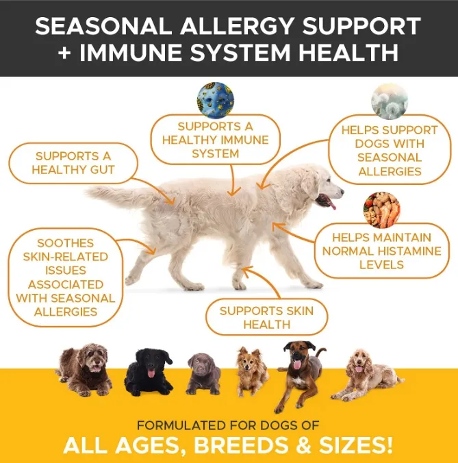 Dog Allergy Support 4